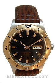 Automatic Winding 280612CBL2